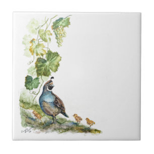Carreau Famille de Cailles de Californie à l'aquarelle per