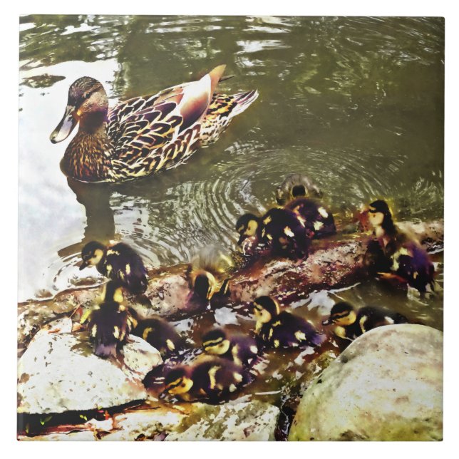Carreau Famille de canards (Devant)
