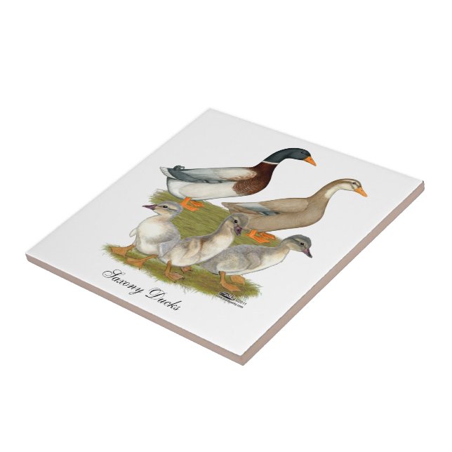 Carreau Famille de canards de Saxe (Côté)