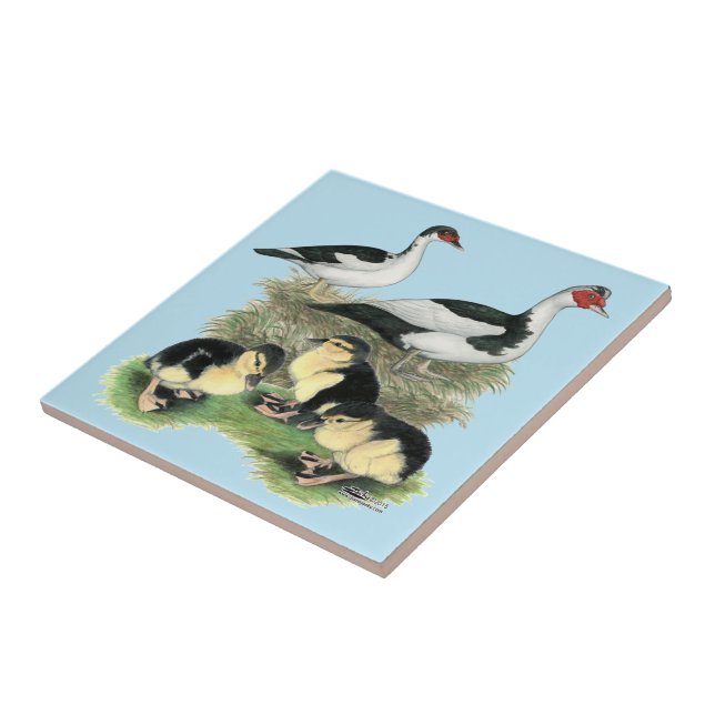 Carreau Famille de canards Muscovy à pieds noirs (Côté)
