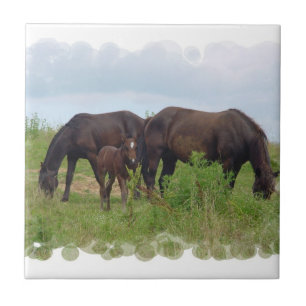 Carreau Famille de cheval frôlant la tuile