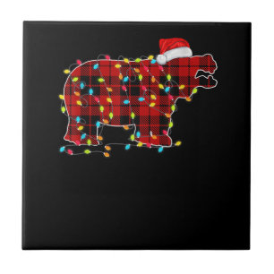 Carreau Famille de jumelage de lumières de Noël hippo amus