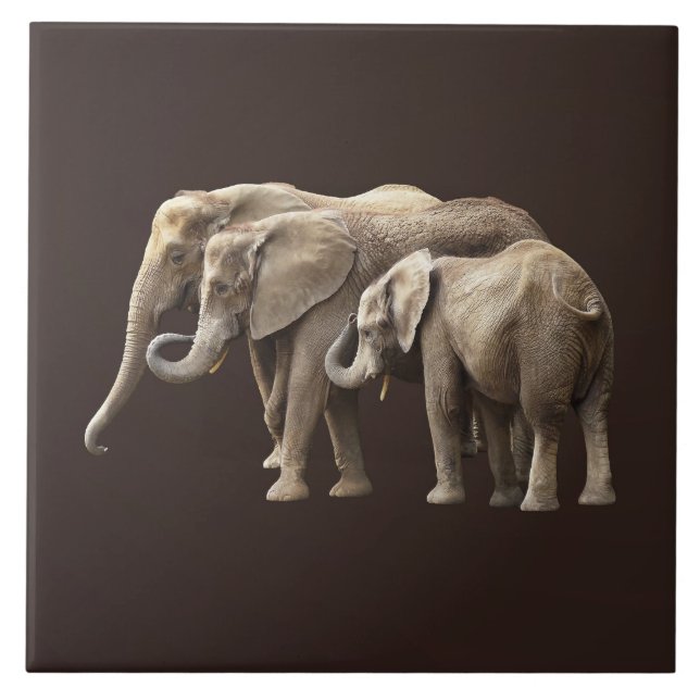 Carreau Famille d'éléphants (Devant)