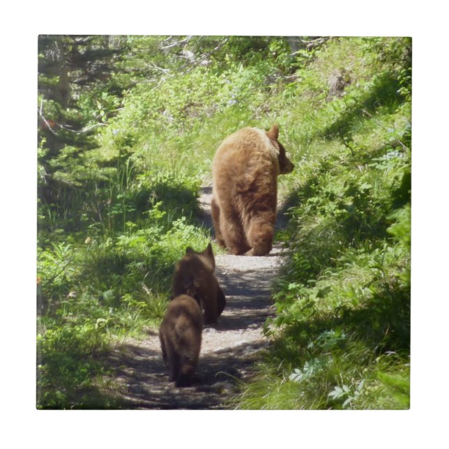 Carreau Famille d'ours brun (Devant)
