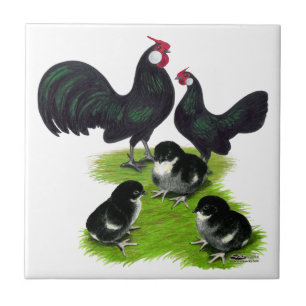 Carreau Famille Rosecomb Black Bantam