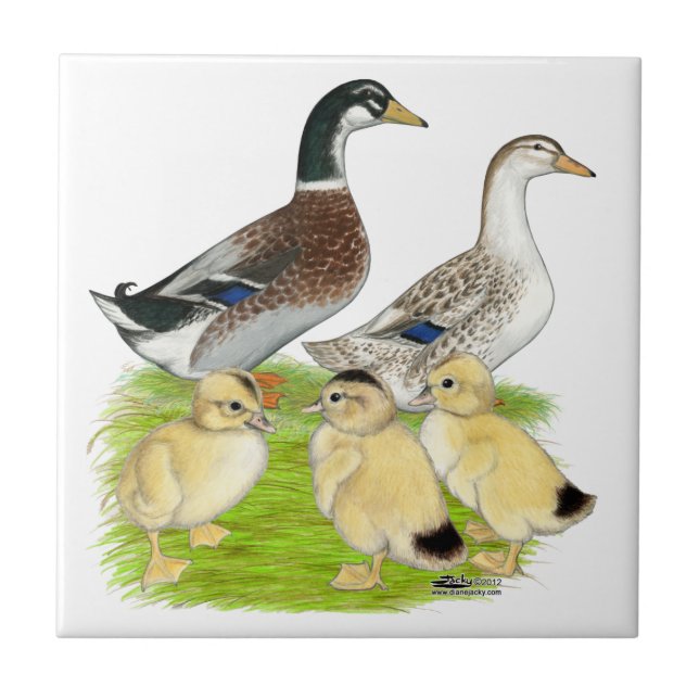 Carreau Famille Silver Appleyard (Devant)