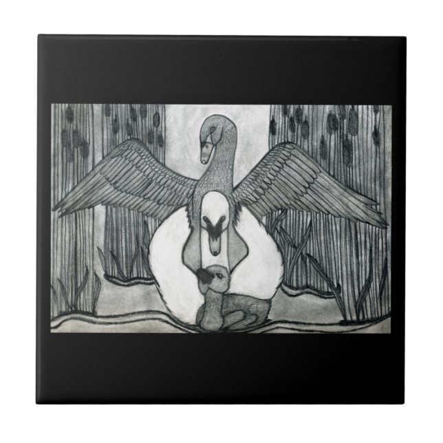 Carreau Famille Swan (Devant)