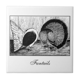 Carreau Fantail Pair