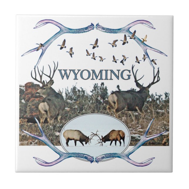 Carreau Faune du WYOMING (Devant)