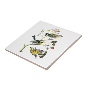 Carreau Fauvette de magnolia par Audubon