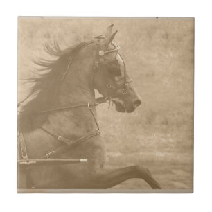 Carreau Faux Vintage Hackney