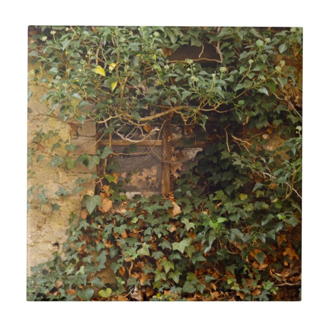 Carreau Fenêtre hantée   (Devant)