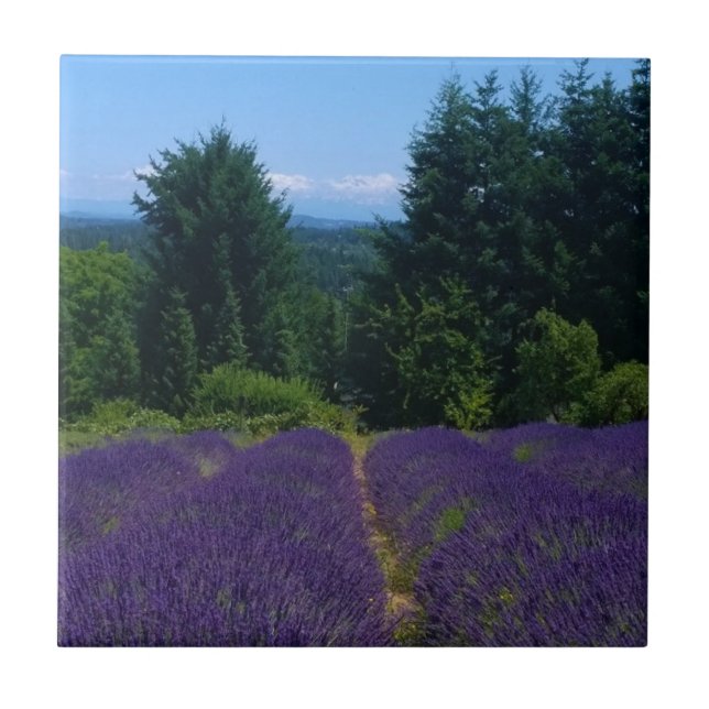 Carreau Ferme de Lavender (Devant)