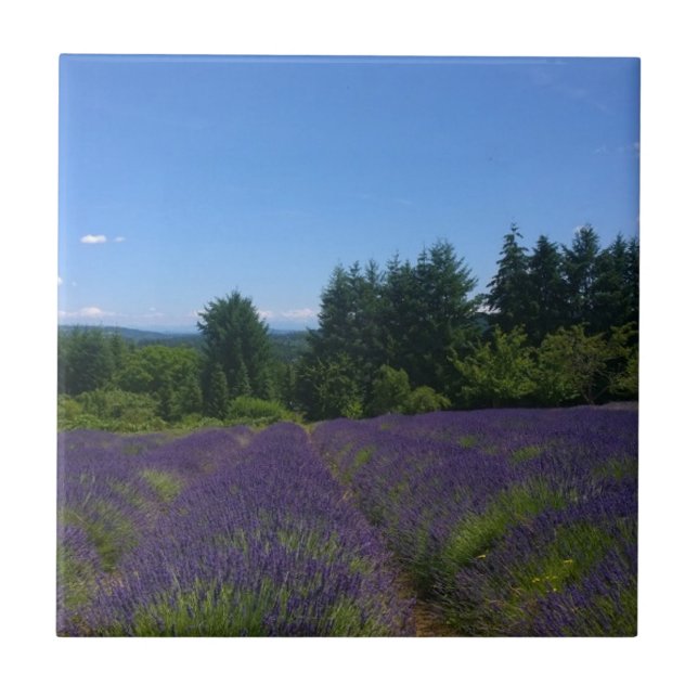 Carreau Ferme de Lavender (Devant)