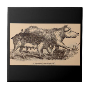 Carreau ferme du 19e siècle poster de animal porc imprimer