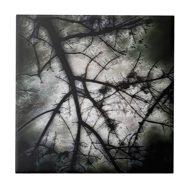 Carreau Fermeture (Devant)