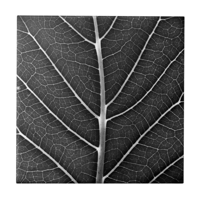 Carreau Fermeture de la feuille brillante noire et blanche (Devant)