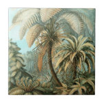 Carreau Fern (Filicinae) par Haeckel<br><div class="desc">Kunstformen der Natur (1904),  assiette 92: Filicinae. Kunstformen der Natur (connu en anglais sous le nom d'Art Forms in Nature) est un livre d'estampes lithographiques et demi-teintes par le biologiste allemand Ernst Haeckel.</div>