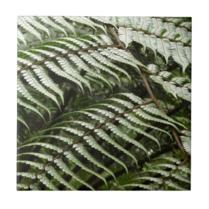 Carreau Fern Fronds II Dark Green Nature