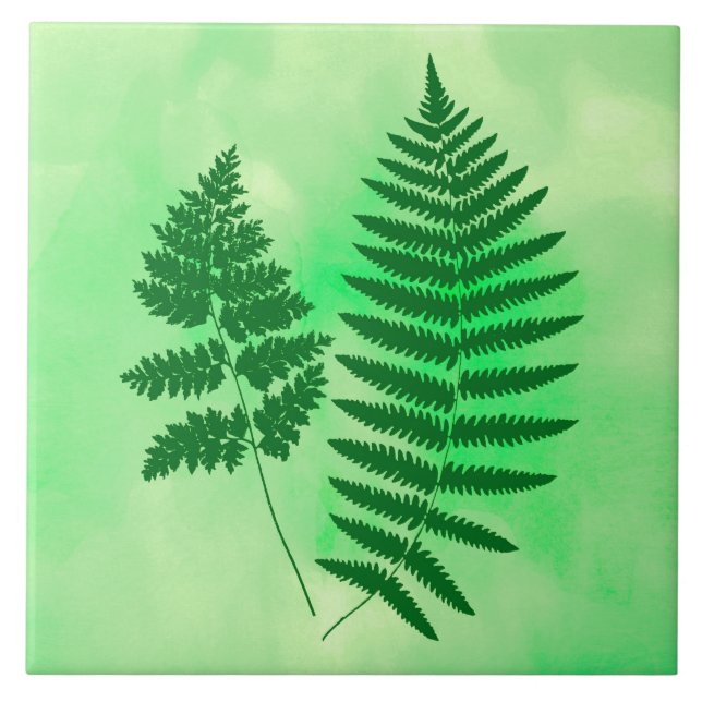 Carreau Fern Fronds, vert sur un Arrière - plan aquarelle (Devant)
