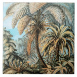 Carreau Ferns Vintage Plants by Ernst Haeckel<br><div class="desc">Vintage illustration nature botany design featuring a tropical rainforest by german zoologist, naturalist, professor, and marine biologist, Ernst Haeckel (1843–1919). Original from Library of Congress.</div>