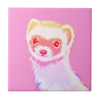 Carreau Ferret Sassy Aux Couleurs Arc-En-Ciel