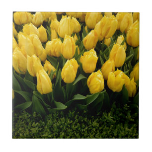Carreau Festival de tulipe - tuile 27