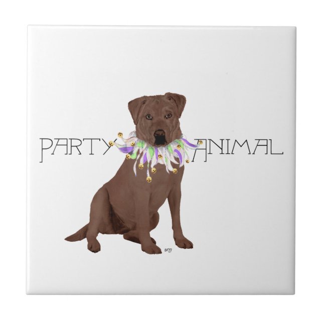 Carreau Fête de Labrador Retriever au Chocolat (Devant)