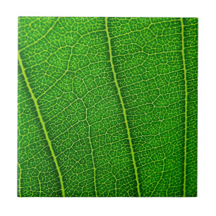 Carreau Feuille