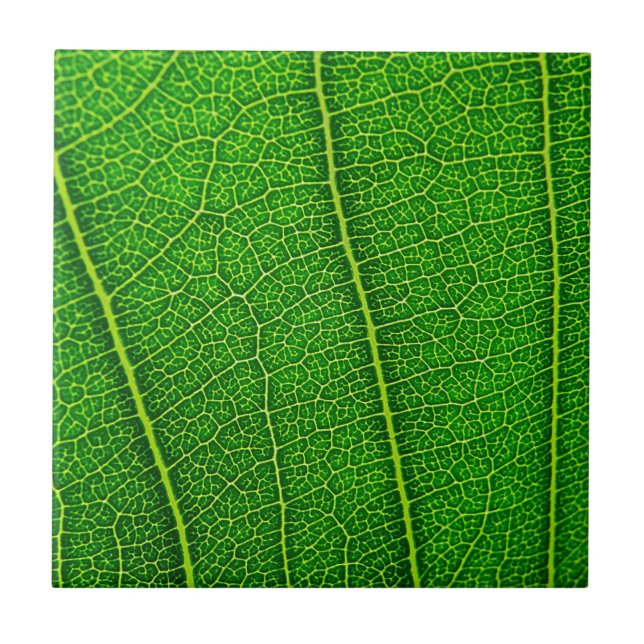Carreau Feuille (Devant)
