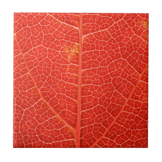 Carreau Feuille automnale (Devant)