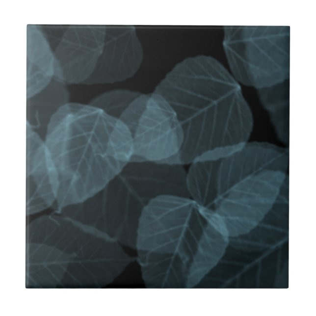 Carreau Feuille bleue X-Ray.png (Devant)