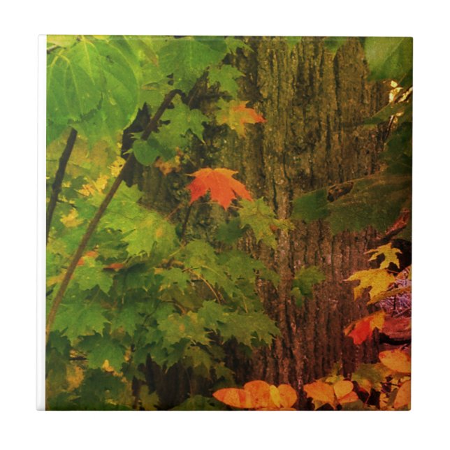 Carreau Feuille colorée de chute (Devant)
