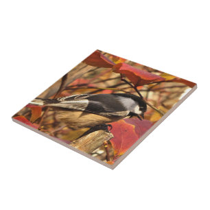 Carreau Feuille d'automne rose avec l'oiseau de Chickadee