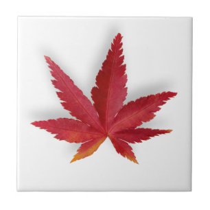 Carreau Feuille d'automne simple rouge