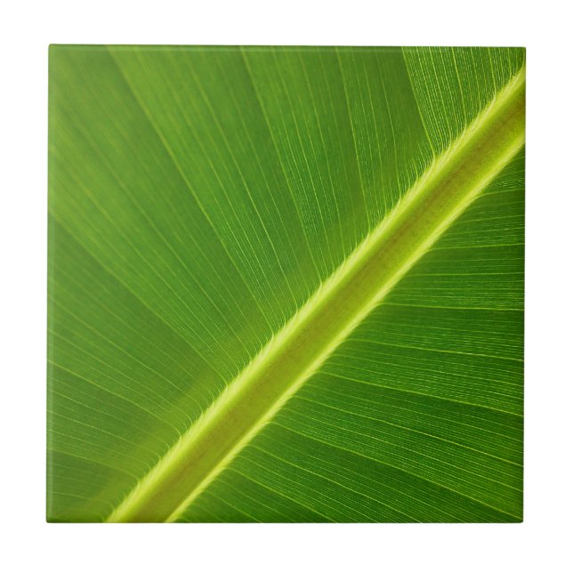 Carreau Feuille de banane (Devant)
