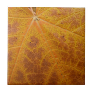 Carreau Feuille de Érable Jaune Automne Abstrait Nature