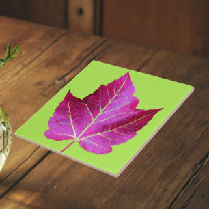 Carreau Feuille de Maple Rouge d'Automne sur Floral Vert