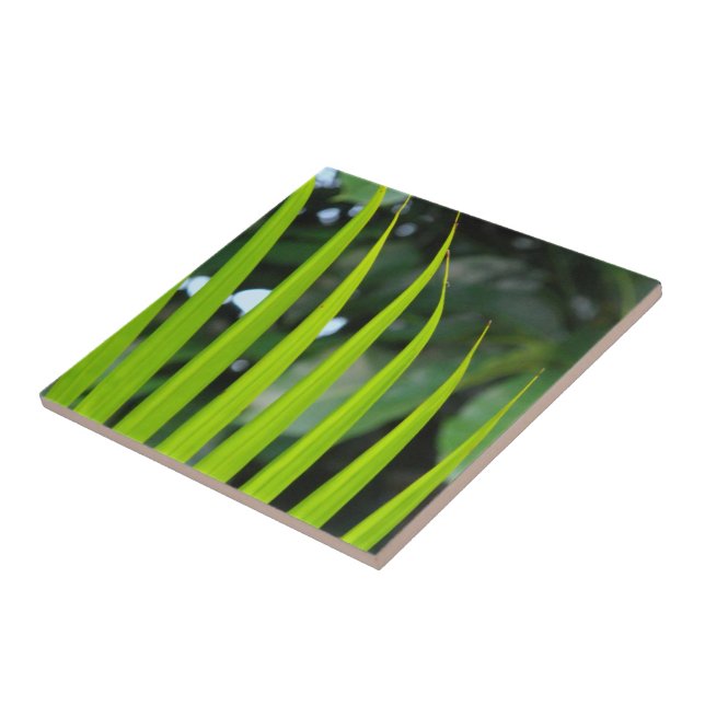 Carreau Feuille de palmier Areca (Côté)