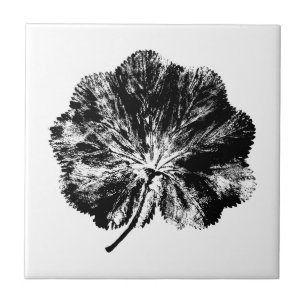 Carreau Feuille manteau de la dame noire et blanche