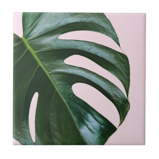 Carreau Feuille tropicale de Monstera (Devant)