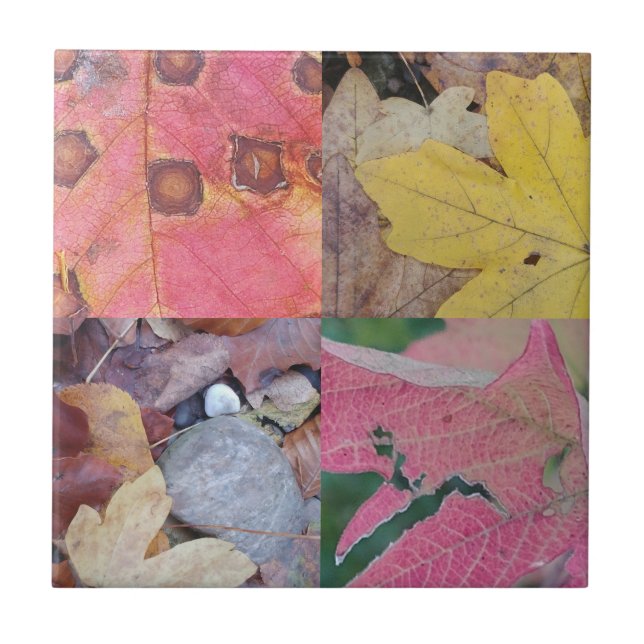 Carreau Feuilles (Devant)
