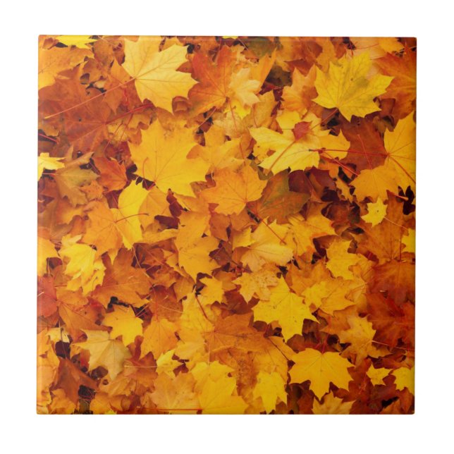 Carreau Feuilles d'automne (Devant)