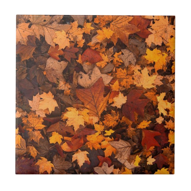 Carreau Feuilles d'automne (Devant)