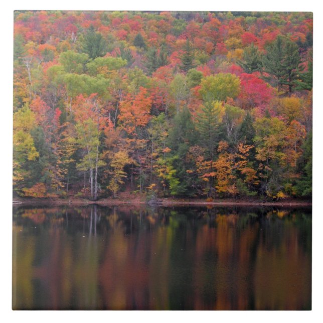 Carreau Feuilles d'automne Couleur de chute Scène Carrelag (Devant)