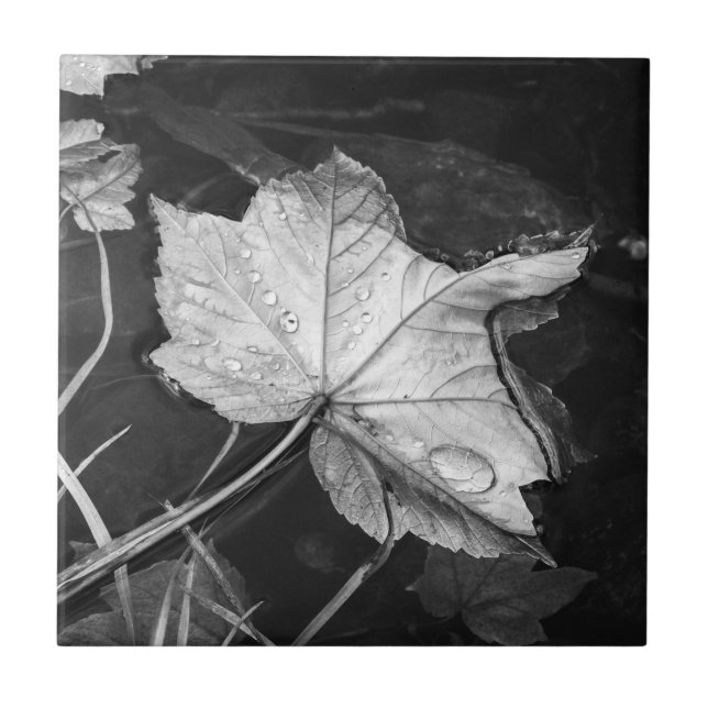 Carreau Feuilles d'automne dans un étang noir et blanc (Devant)