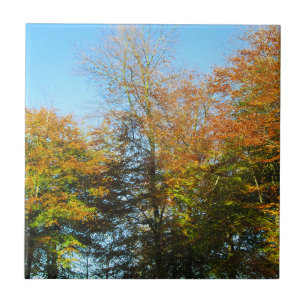 Carreau Feuilles d'automne et Ciel bleu - Céramique person