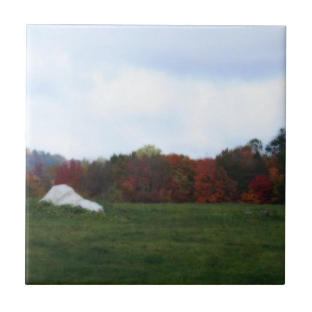 Carreau Feuilles d'automne Field Nature Carrelage d'art (Devant)