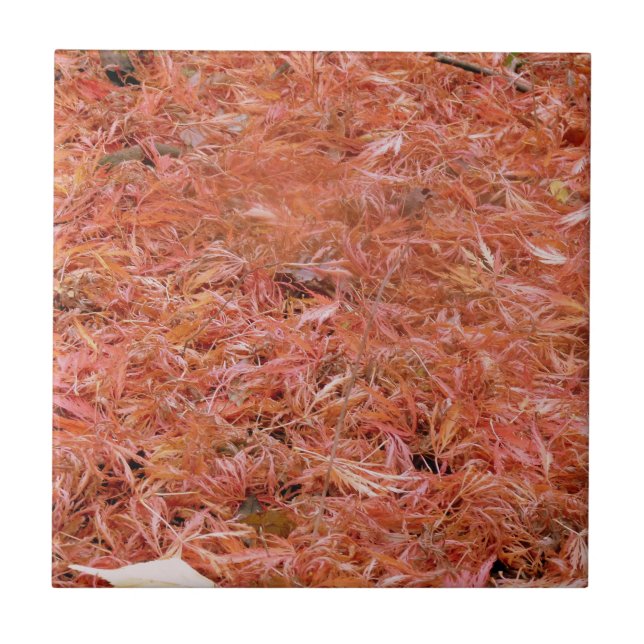 Carreau Feuilles d'automne rouge vibreuses (Devant)
