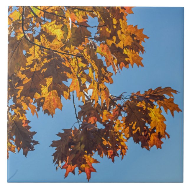 Carreau Feuilles d'automne vue céramique (Devant)